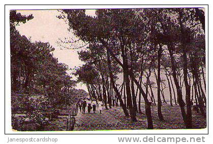 The Pines West Cliff Walk  - BOURNEMOUTH - Dorset - Bournemouth (from 1972)