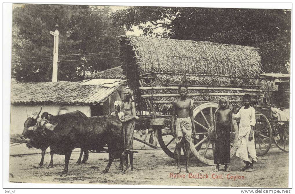 CEYLON - NATIVE BULLOCK CART  (NICE ANIMATION )- A584 - Sri Lanka (Ceylon)