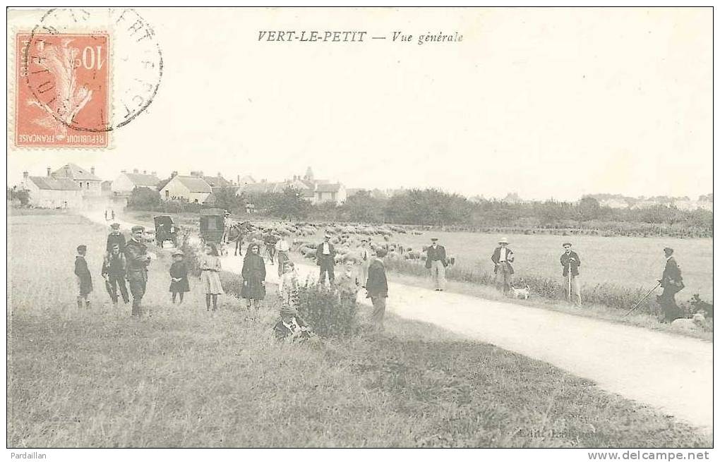 91.   VERT-LE-PETIT.  VUE GENERALE.  BELLE ANIMATION.  TROUPEAU DE MOUTONS. FIACRES. ENFANTS.  BEAU PLAN. - Vert-le-Petit