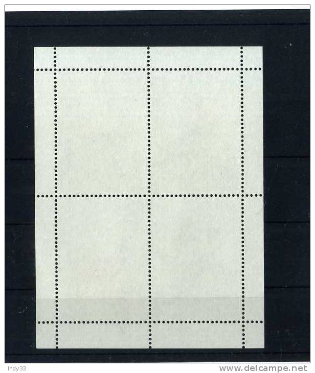 - IRLANDE . BLOC DE 1980 . NEUF SANS CHARNIERE - Blocks & Sheetlets