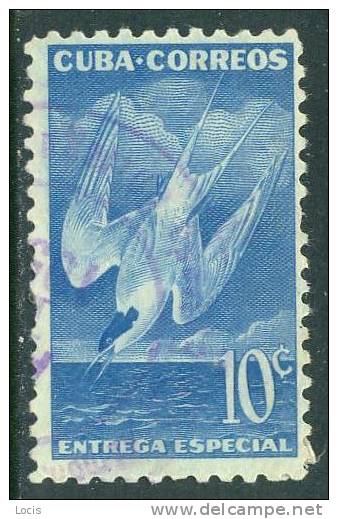 CUBA 1952 USED - BIRDS - Used Stamps