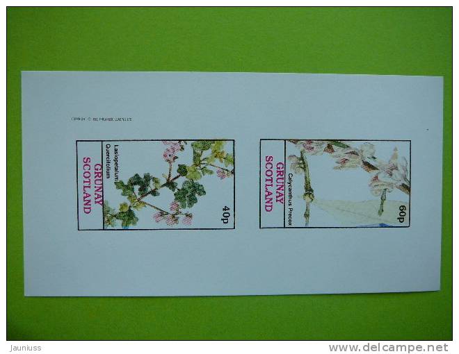 Grunay Scotland 1982 Plants Flowers Blumen  S/s Of 2 ** MNH Imperf. - Autres & Non Classés