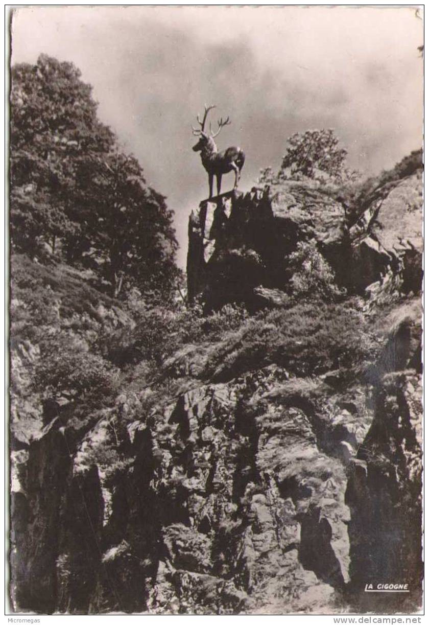 HOLLENTHAL (Forêt Noire) - Hirschsprung (Saut Du Cerf) - Höllental