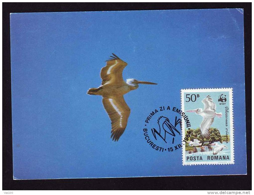 ROMANIA 1984 MAXI CARD PELICANS WWF WORLD WIDE FUND FOR NATURE,cancell FDC.(B) - Pelikane