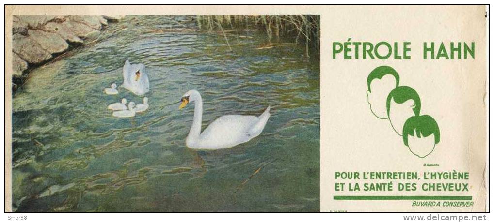 Petrole Hann - Cygnes - Perfume & Beauty