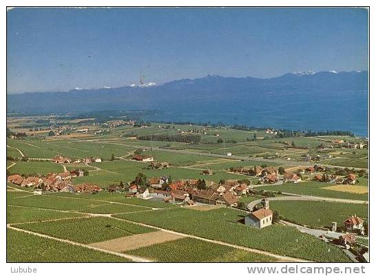 Mont Sur Rolle - Vue Aérienne      1977 - Rolle