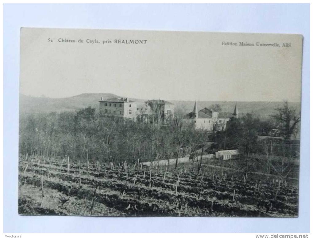 Chateau Du CAYLA Près De REALMONT - Realmont