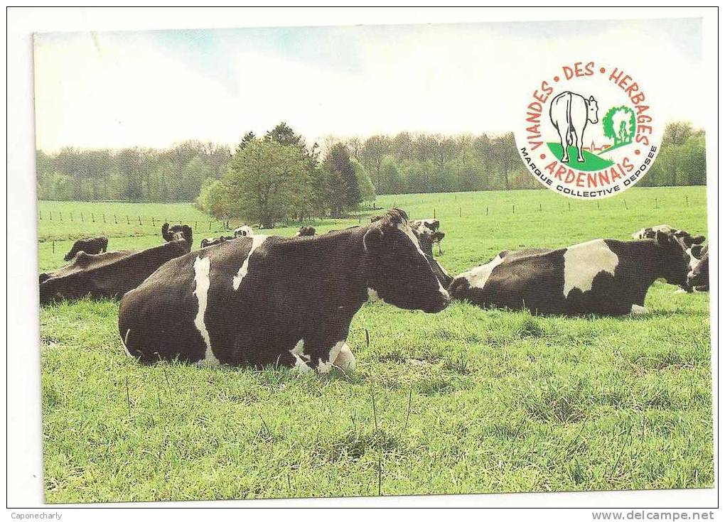 CP VIANDE DES HERBAGES ARDENNAIS Marque Collective Déposé Vaches Boeufs Bovins 08 ARDENNES - Autres & Non Classés