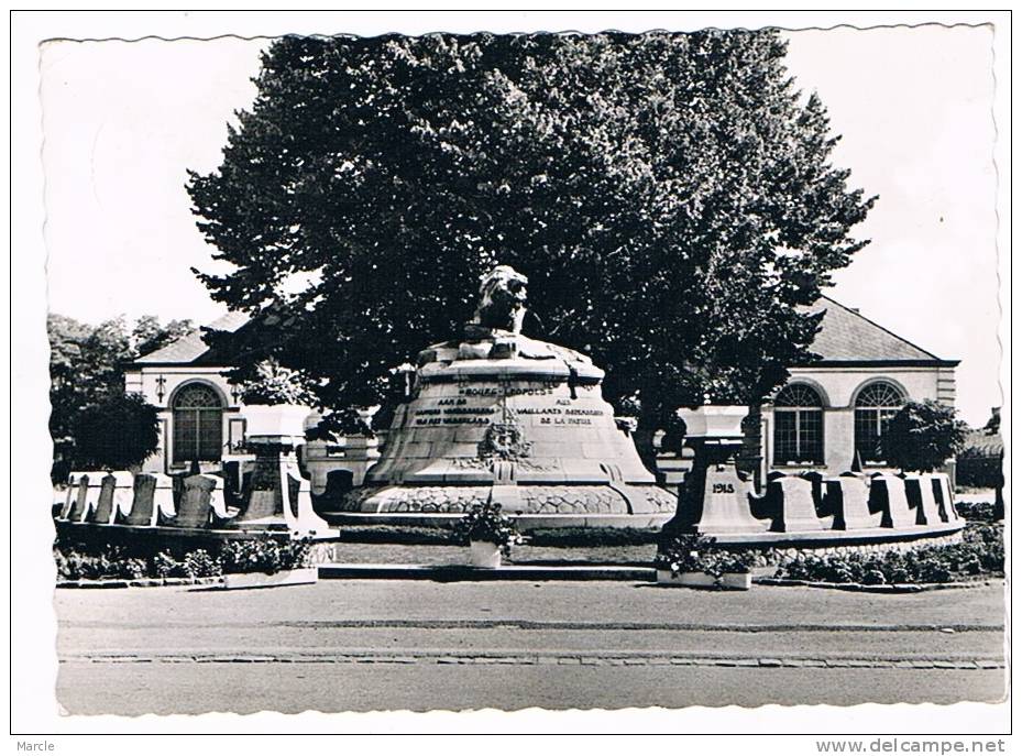 Leopoldsburg Heldenmonument  1966  Bourg-Leopold Monument Aux Héros - Leopoldsburg