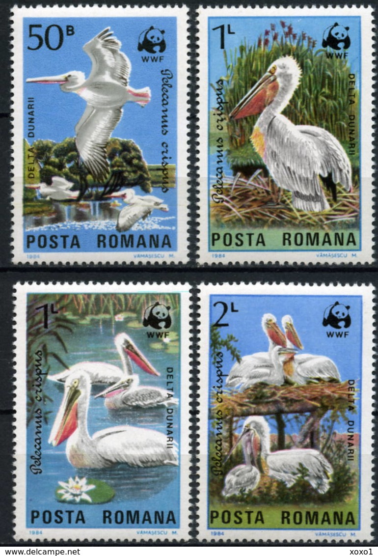 Romania 1984 MiNr. 4104 - 4107  Rumänien Birds WWF Dalmatian Pelicans 4v MNH** 3,00 € - Pélicans