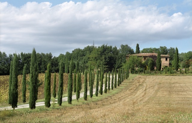 Art Print Reproduction On Original Painting Canvas, New Picture, Italy, Toscana, Hacienda, Farm, House, Road - Other & Unclassified