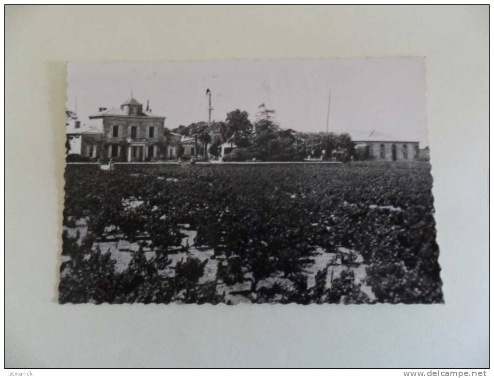 Saint-estèphe-médoc: Le Château Montrose - Lesparre Medoc