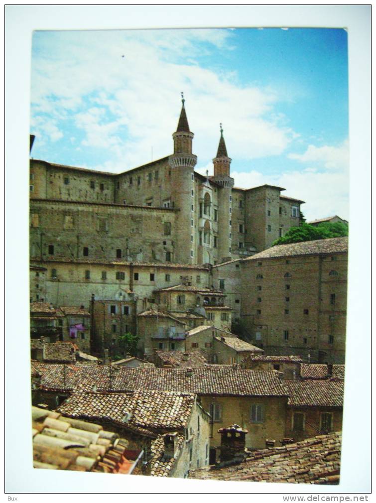 MARCHE - URBINO   NON VIAGGIATA COME DA FOTO - Urbino