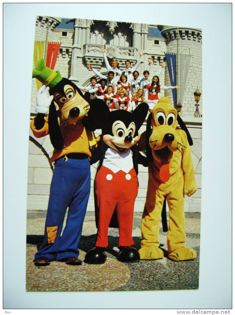 WALT DISNEY  DISNEYWORLD   VIAGGIATA COME DA FOTO - Disneyworld