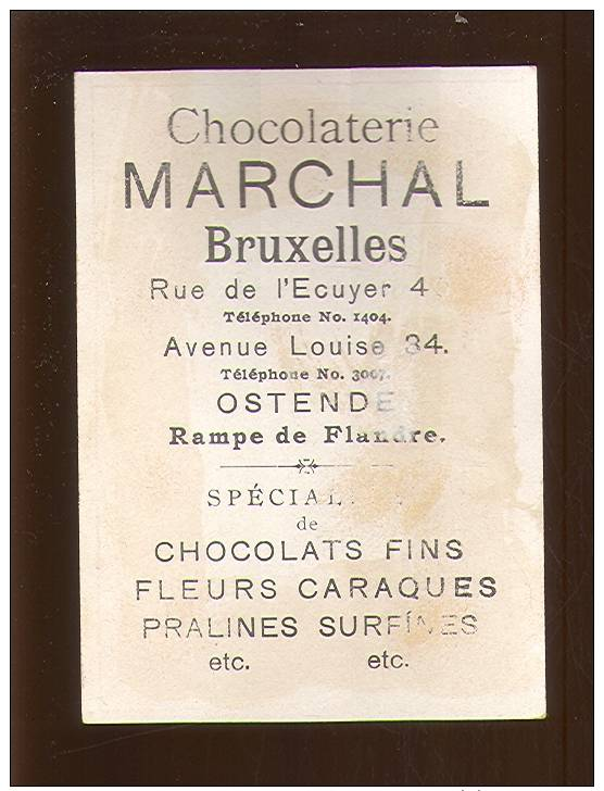 Chromo ( 1227 ) Chocolade  Chocolat  Marchal  Bruxelles  Brussel - Andere & Zonder Classificatie