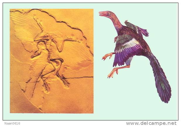 Fossil Bird   , Postal Stationery -- Articles Postaux (A49-06) - Fossili