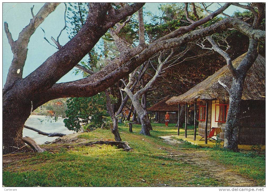 Ile Des Pins,sud Est De La Nouvelle Calédonie,au Relais De Kanuméra,en 1971,kunié,kanak,ile Appelé Proche Du Paradis - Nieuw-Caledonië