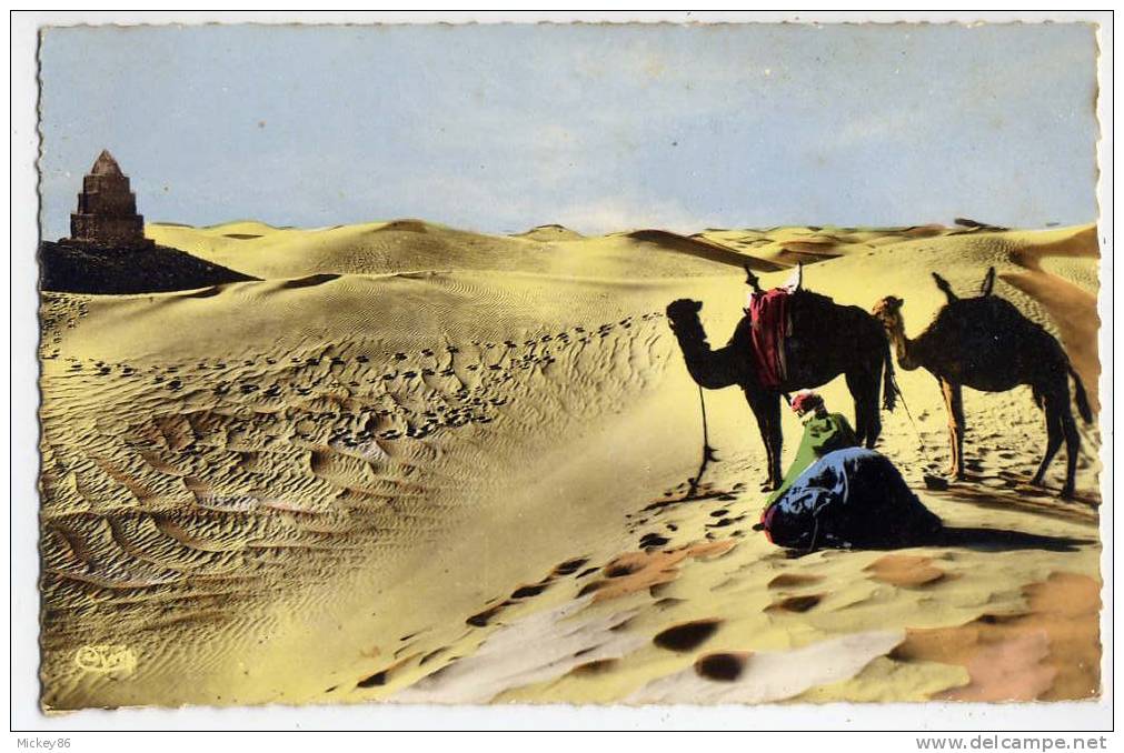 Prière  Au Désert --- Datée 1960--,animée, Hommes,chameaux--cpsm Pt Format N° 371  éd Combier - Islam