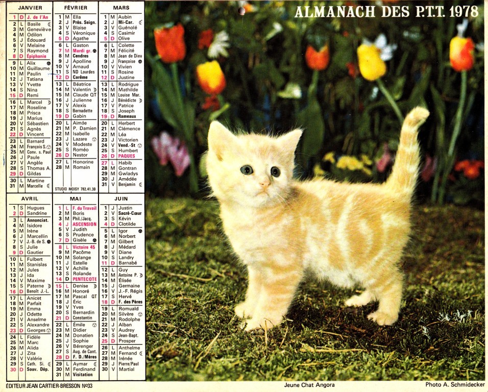 ALMANACH 1978 - Formato Grande : 1971-80