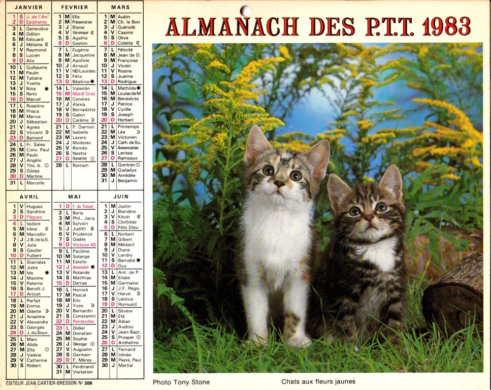 ALMANACH 1983 - Grand Format : 1971-80