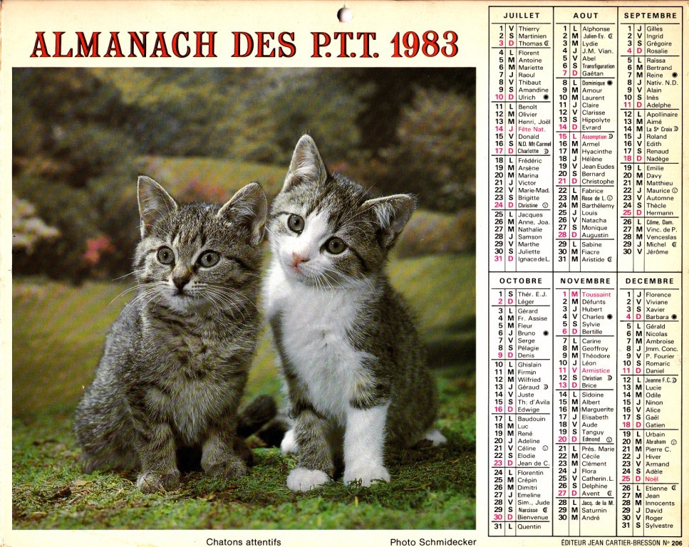 ALMANACH 1983 - Formato Grande : 1971-80