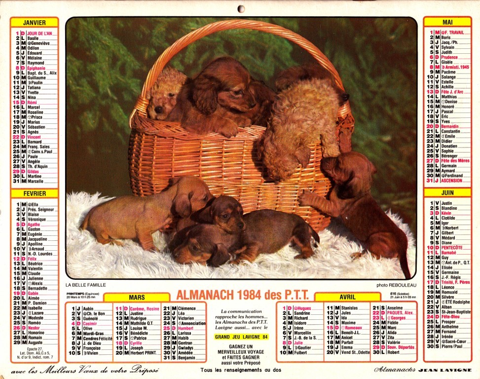 ALMANACH 1984 - Formato Grande : 1971-80