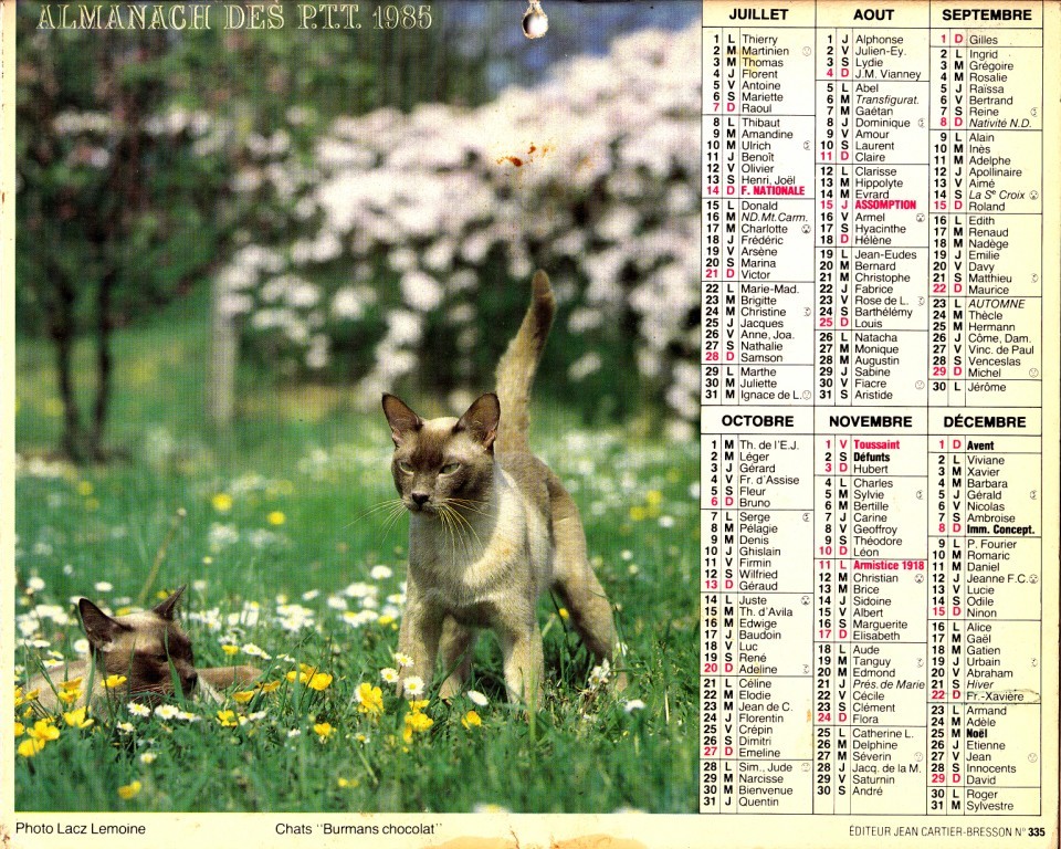 ALMANACH 1985 - Formato Grande : 1971-80