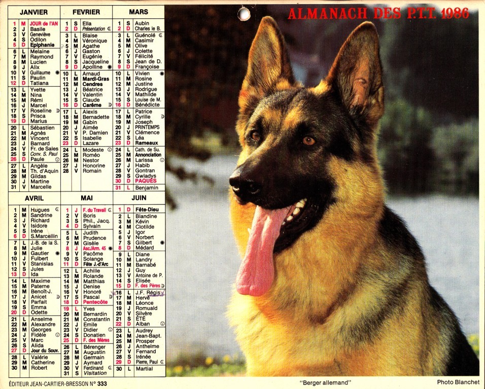 ALMANACH 1986 - Formato Grande : 1971-80