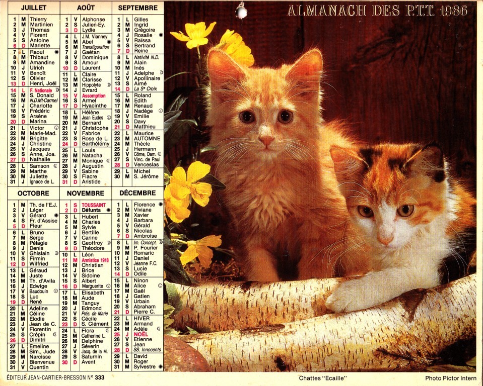 ALMANACH 1986 - Grand Format : 1971-80