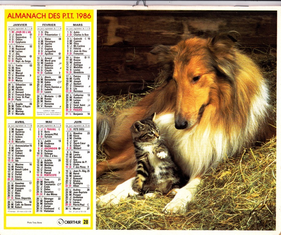 ALMANACH 1986 - Grand Format : 1971-80