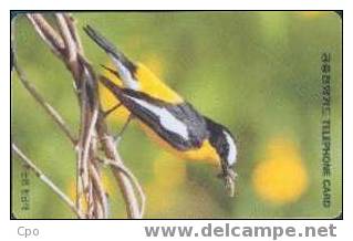 # KOREA O9401102 Tricolor  Flycatcher 3000 Autelca 01.94 -oiseau,bird- Tres Bon Etat - Korea (Zuid)