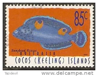 COCOS ISLANDS - Used 1996 85c Fish - Isole Cocos (Keeling)