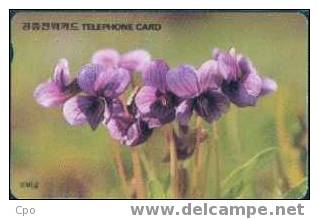 # KOREA O9401101 Manchurian Violet 2000 Autelca 01.94 -fleurs,flowers-   Tres Bon Etat - Corea Del Sur