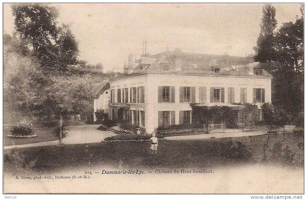 214  -  Dammarie Les Lys  -   Château Du Haut-Bouillant - Dammarie Les Lys