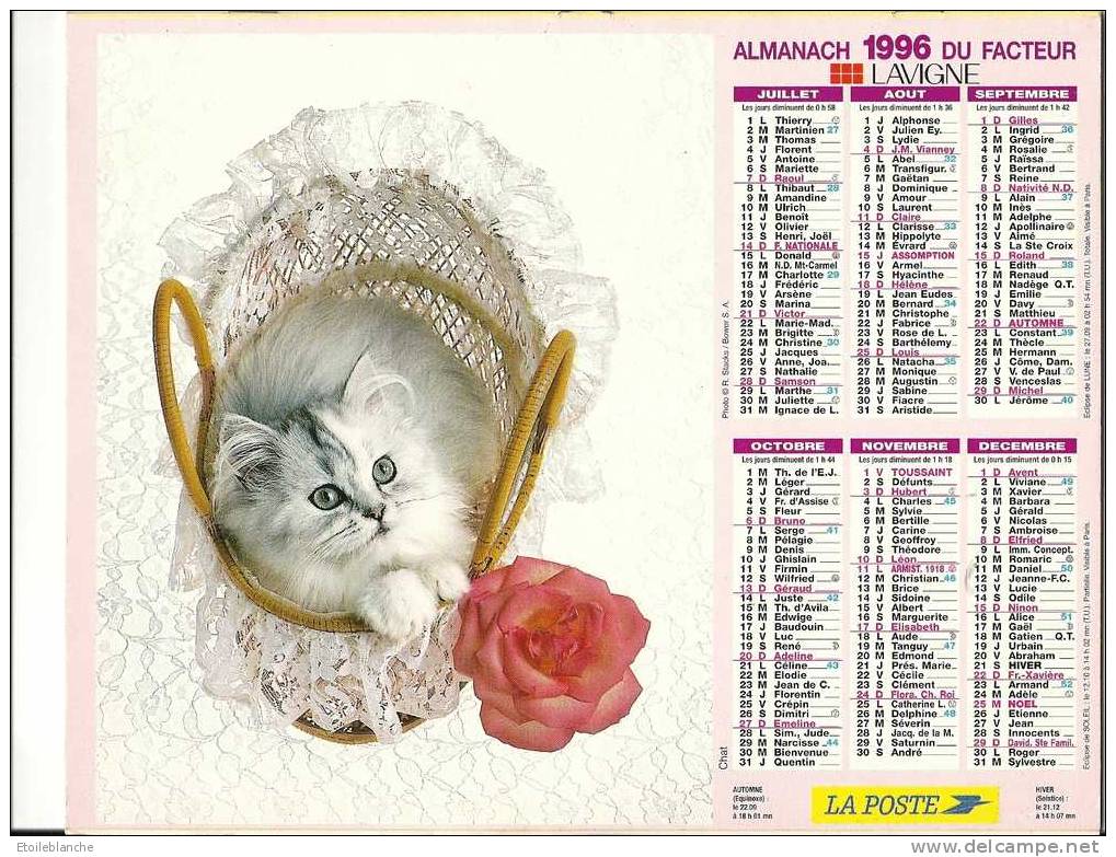 Calendrier 1996 / Petit Chien, Yorshire Terrier, Chiot, Cairn / Chat Blanc, Dentelle, Rose / ALMANACH Du FACTEUR - Grand Format : 1991-00