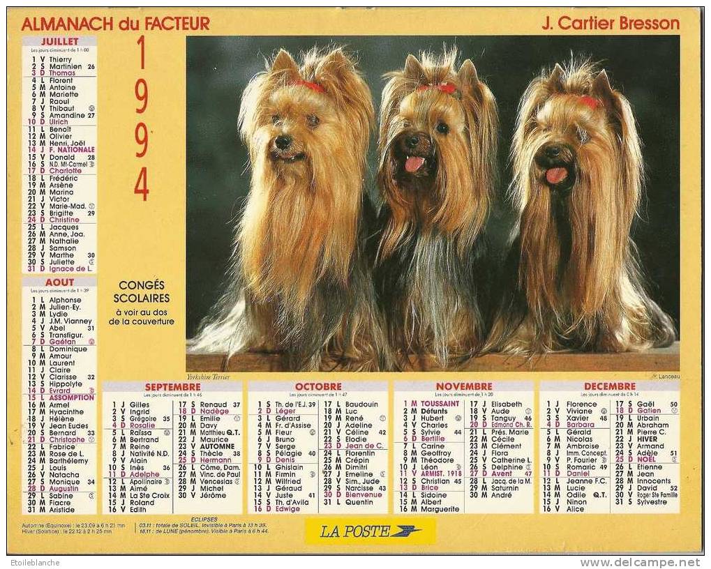 Calendrier 1994 / Photos Cartier Bresson, 3 Chiens Yorkshire / Chat Tigré / ALMANACH Du FACTEUR La Poste Essonne 91 - Tamaño Grande : 1991-00