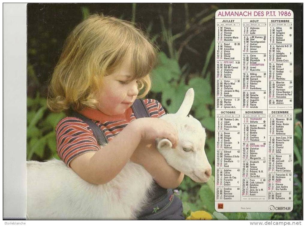 Calendrier 1986 Photos, Enfant Et Animaux / Petite Fille Qui Caresse Un Agneau, Avec Tourterelles - Tamaño Grande : 1981-90