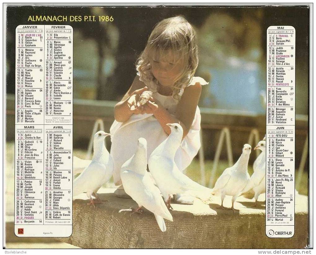 Calendrier 1986 Photos, Enfant Et Animaux / Petite Fille Qui Caresse Un Agneau, Avec Tourterelles - Formato Grande : 1981-90