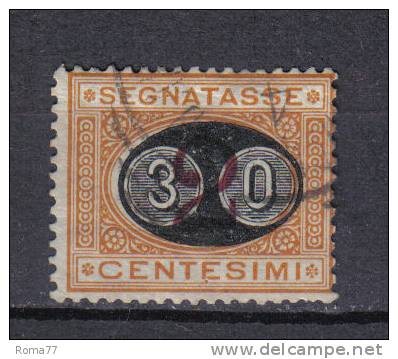 SS3118 - REGNO 1890, Segnatasse : Mascherine Il N. 19 . - Taxe