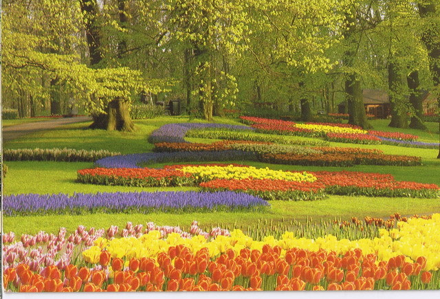 Keukenhof Lisse Holland - Lisse