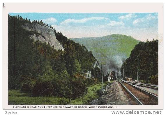 ELEPHANT'S HEAD AND ENTRANCE TO CRAWFORD NOTCH, WHITE MOUNTAINS (TRAIN ARRIVANT) 1604 - Other & Unclassified