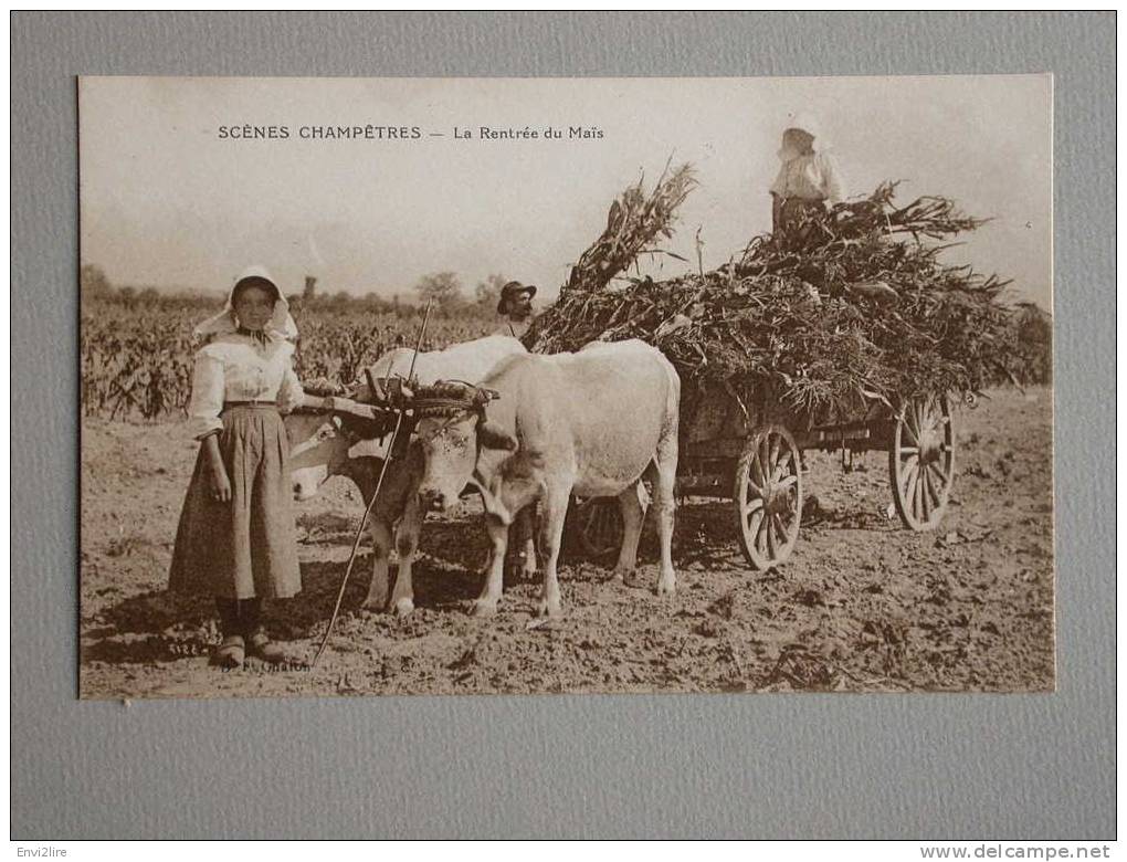 Ref758 Cpa Scenes Champetres. La Rentree Du Mais. Edit. Bourgeois Freres, Chalon - Cultivation
