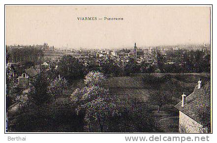 95 VIARMES - Panorama - Viarmes