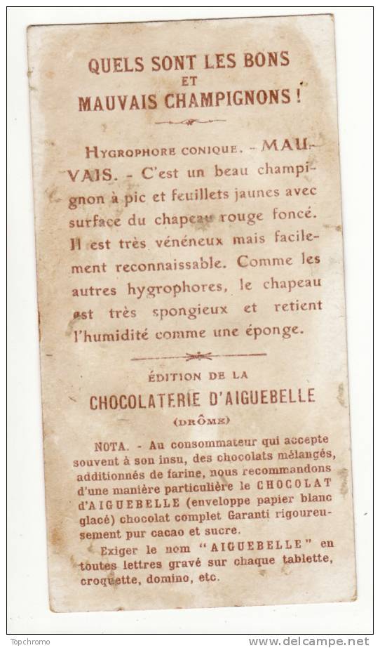 CHROMO Chocolat Aiguebelle Mauvais Champignons Hygrophore Cônique - Aiguebelle