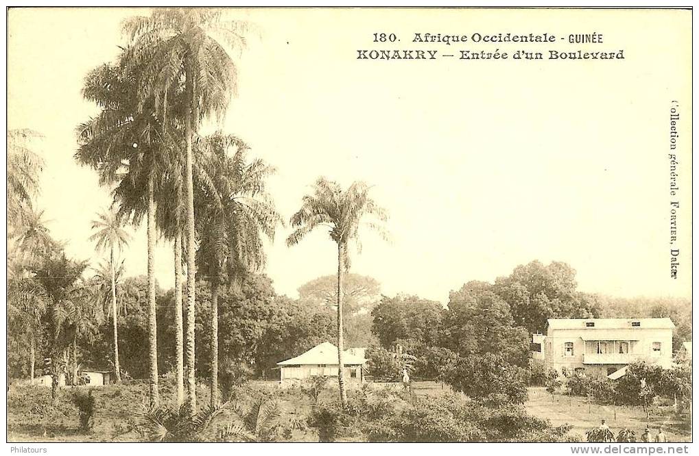 GUINEE FRANCAISE / KONAKRY - Entrée D'un Boulevard - Guinée Française