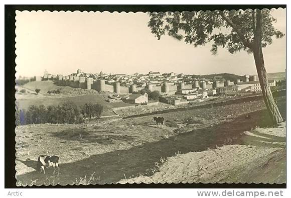 Avila Vista General - Ávila