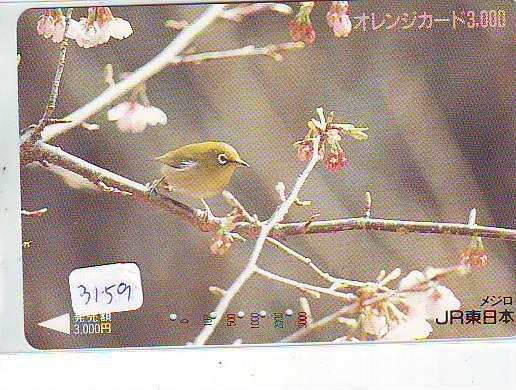 Telecarte Japon OISEAU (3159)  Bird * Phonecard Japan * Telefonkarte VOGEL * FLEUR - Pájaros Cantores (Passeri)