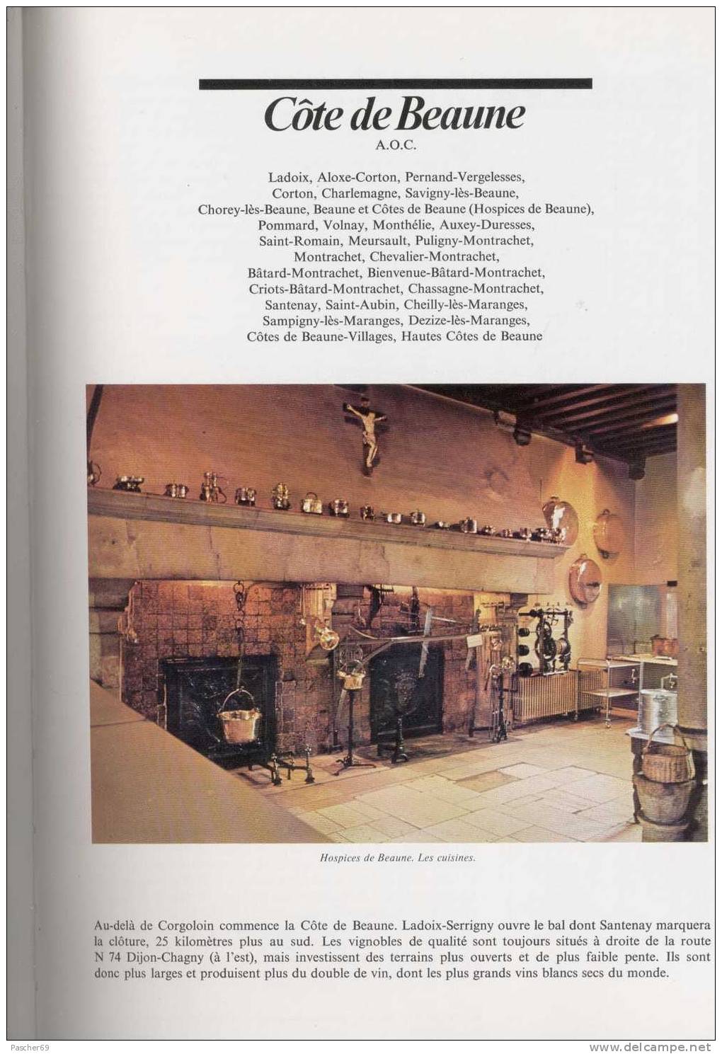 LES GRANDS VINS DE FRANCE  ANNEE 1981      /  N° 9 - Encyclopédies