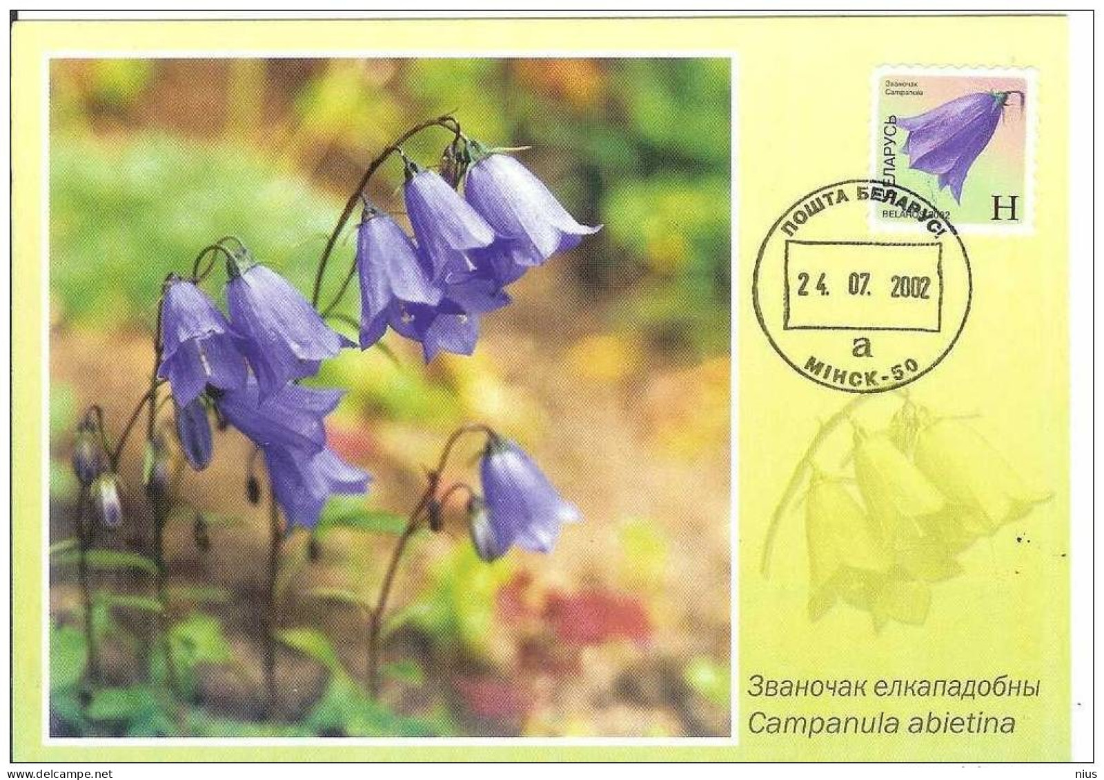 Belarus 2002 Maximum Card, Flora Flowers Plants Flower - Belarus