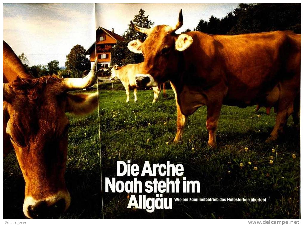 Geo Magazin Spezial  -  Bayern  -  Nr.3  1990  ,  Allgäu  -  Oberammergau  -  Oberfranken - Reizen En Ontspanning